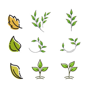 Green Tree leaf ecology nature element