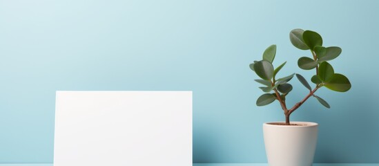 A houseplant in a flowerpot is placed beside a white card on a table, adding a touch of nature to the rectangular surface
