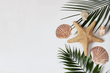 Composition of exotic seashells, oysters, starfish. Lush green palm leaves isolated on shabby white wooden background. Tropical summer vacation, nature concept. Flat lay, top view. Empty copy space.