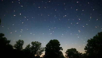 Fototapeta na wymiar Fireflies Forming Constellations In The Sky