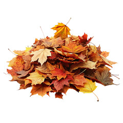 Pile of autumn leaves. Isolated on transparent background.