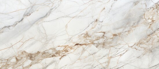 Brown and white veins are visible on a textured piece of marble, adding a unique and sophisticated touch to any design
