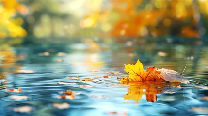 Photo sur Plexiglas Jaune autumn leaves in the river floating autumn leaves