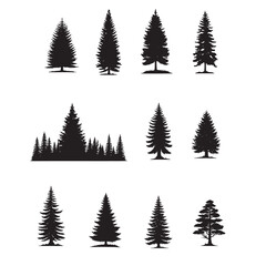 Obraz premium set of pine trees silhouettes on white