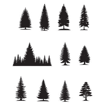 set of pine trees silhouettes on white