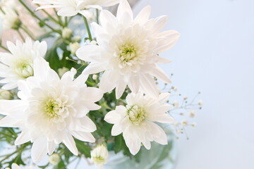 White chrysanthemums,  pastel flowers, wedding floral bouquet