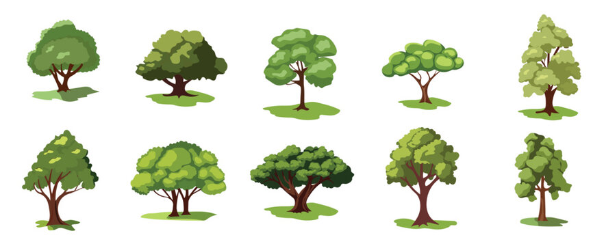 Tropical trees vector illustration set, cartoon tree plant collection
