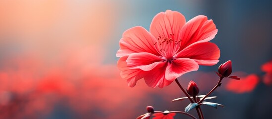 A closeup shot showcasing a vibrant red flower with a soft blurred background. The flowers petals...