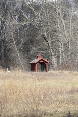 Covered bridge in the park