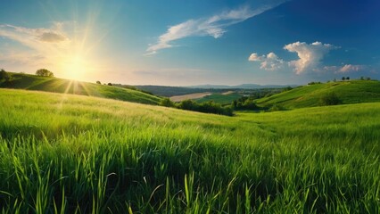 Fototapeta na wymiar Field of grass and sunset, Beautiful grass landscape wallpaper, a blue sky with sun. colorful flower, Spring-summer blurred background, colorful flower and grass wallpaper, lens flare,