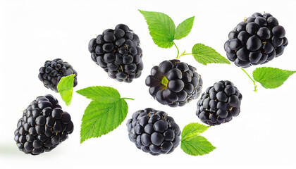 blackberries falling or flying in the air with green leaves isolated on white background. Generative AI - Powered by Adobe
