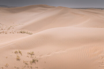 Beautiful untouched sand dunes in Inner Mongolia, China