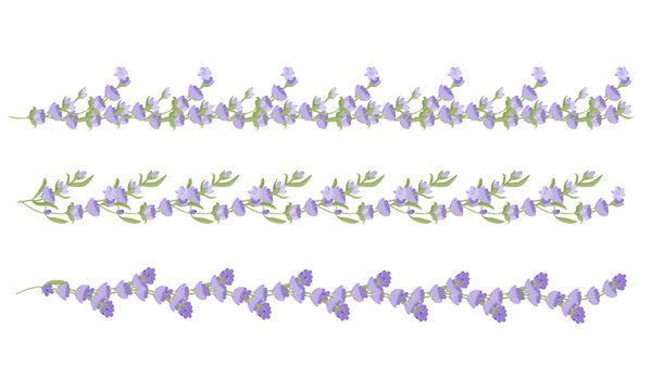 Set of decorative borders of lavender flowers for your design. Vector illustration isolated on white background.