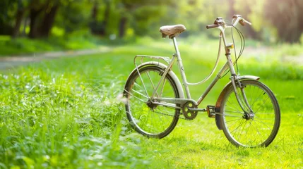 Gartenposter A vintage bicycle stands alone in a serene, sun-drenched park with lush green surroundings © TPS Studio