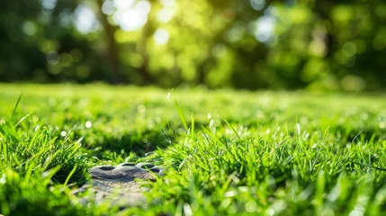 Fotobehang Subtle imprint of a foot hidden in the dense, dew-spangled grass under gentle sunlight © TPS Studio