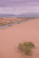 The small desert tree at the foreground, highway and the city of Wuhai, China