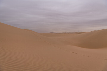 Fototapeta na wymiar The sand waves of an interesting shape in the desert next to Wuhai, China