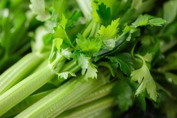 Fresh green celery with water droplets