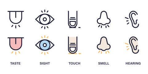 Five senses icon set: taste, sight, touch, smell, hearing - line art thin line Illustration symbols for sensory perception and human experience - obrazy, fototapety, plakaty