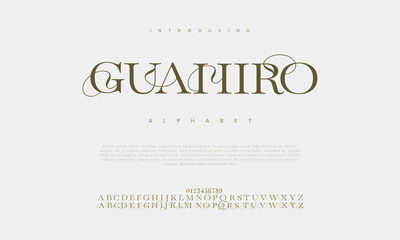 Fototapeta na wymiar Guahiro premium luxury elegant alphabet letters and numbers. Vintage wedding typography classic serif font decorative vintage retro. Creative vector illustration