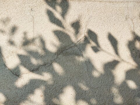 Cracked cement wall