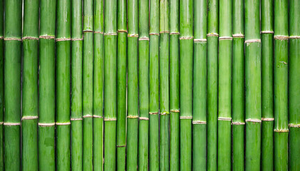 green bamboo fence, a symbol of nature's tranquility and resilience