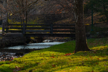 autumn in the park with bridge