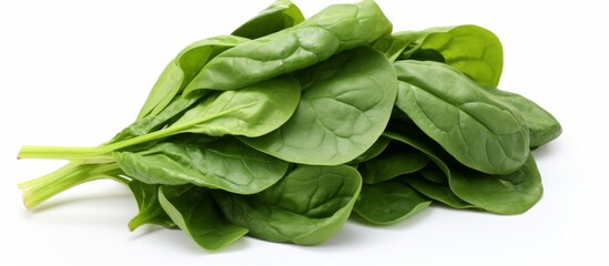 A pile of spinach leaves, a leaf vegetable and superfood, on a clean white dishware background. This nutritious ingredient is commonly used in various cuisines and dishes - Powered by Adobe