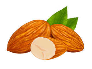 アーモンド（葉付き）