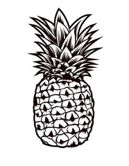 Pineapple fruit illustration, Pineapple clipart, tropical fruit vector