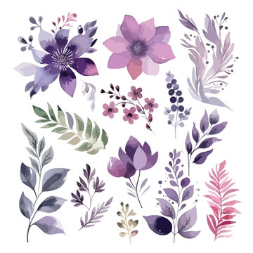 Vector floral set.Colorful purple floral collection