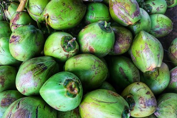 Young coconuts have many health benefits