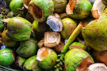 Young coconuts have many health benefits