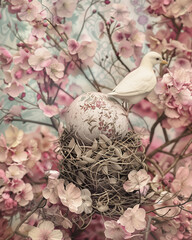 Modern style, floral pattern, soft pastel, bird and egg