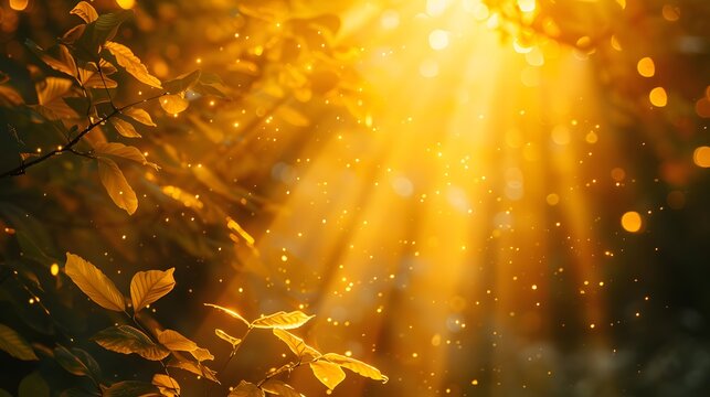 ush foliage is bathed in the soft glow of warm golden sunlight, creating a serene forest ambiance punctuated by a magical bokeh effect.