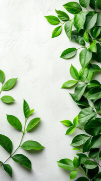 A white background with green leaves on it. The leaves are arranged in a way that they are overlapping each other. The image has a calming and peaceful mood