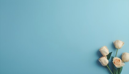Fototapeta premium flowers on blue background