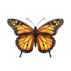 Obraz premium Butterflies Cartoon Icon, isolated on transparent background, PNG For Designer