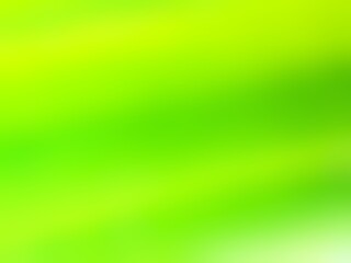 Nature green blurred background.Ecology concept for your design.