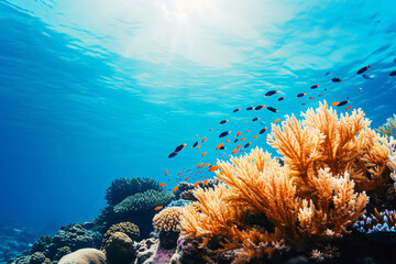 Fototapeta na wymiar Photo coral reef with fish blue sea underwater scene