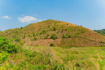 Fototapeta na wymiar Vietnamese landscape. Central highlands of Vietnam.