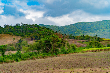 Fototapeta na wymiar Vietnamese landscape. Central highlands of Vietnam.