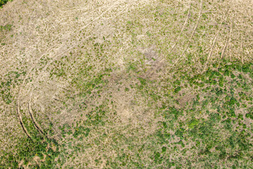 imprints of tractor tires on a spring grassy field. top view from drone.