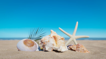 Blue sky and sea shells on the sand. 3d rendering