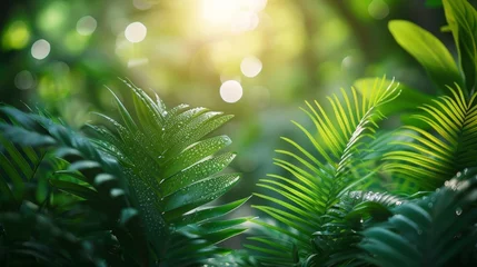 Foto op Plexiglas Eco concept for Earth Day, lush tropical forest, natural preservation scene, AI Generative © sorapop