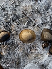 Rock Surrounded By Ice Crystals 