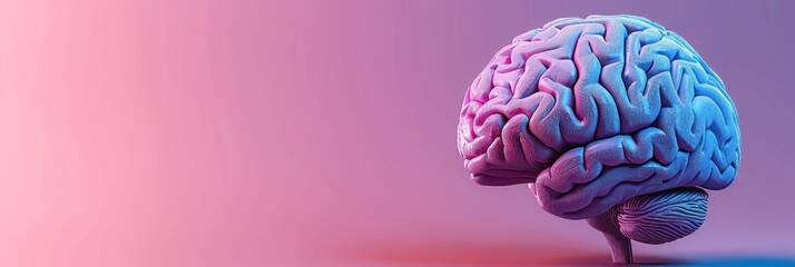 A stylized depiction of a human brain in pink and blue hues - obrazy, fototapety, plakaty