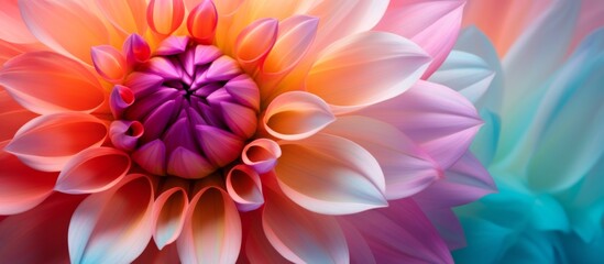 Fototapeta premium A closeup shot showcasing a vibrant Dahlia flower with magenta petals against a beautiful blue background, creating a stunning piece of floral art