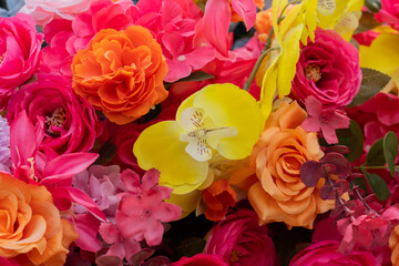 Orchidaceae in Hong Kong Flower Show