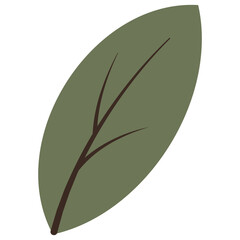 Foliage Illustration